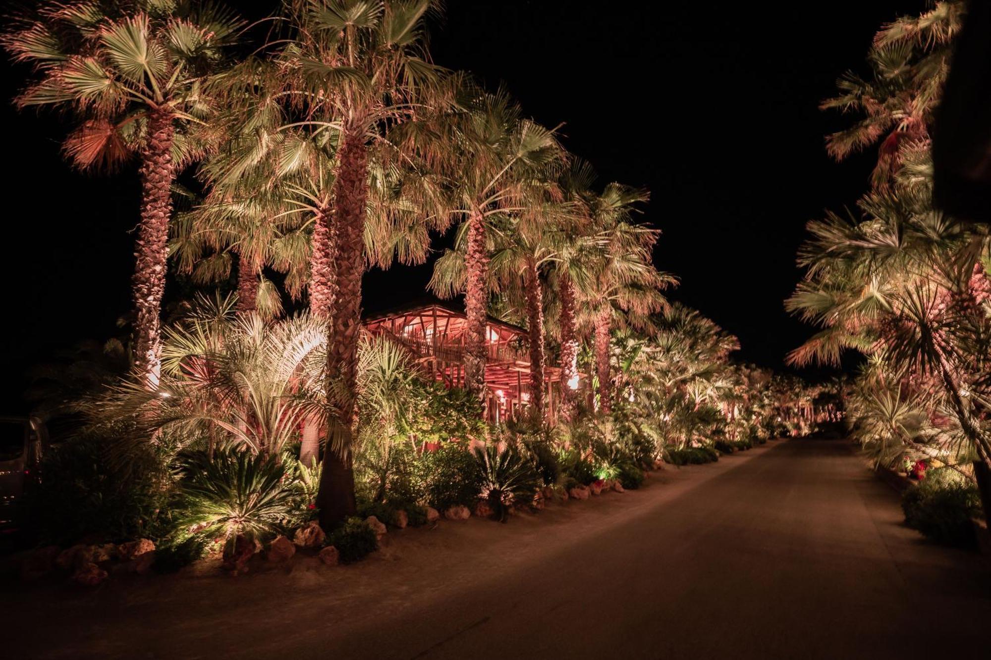 Hotel Toison D'Or Ramatuelle Esterno foto The Desert Botanical Gardens at night