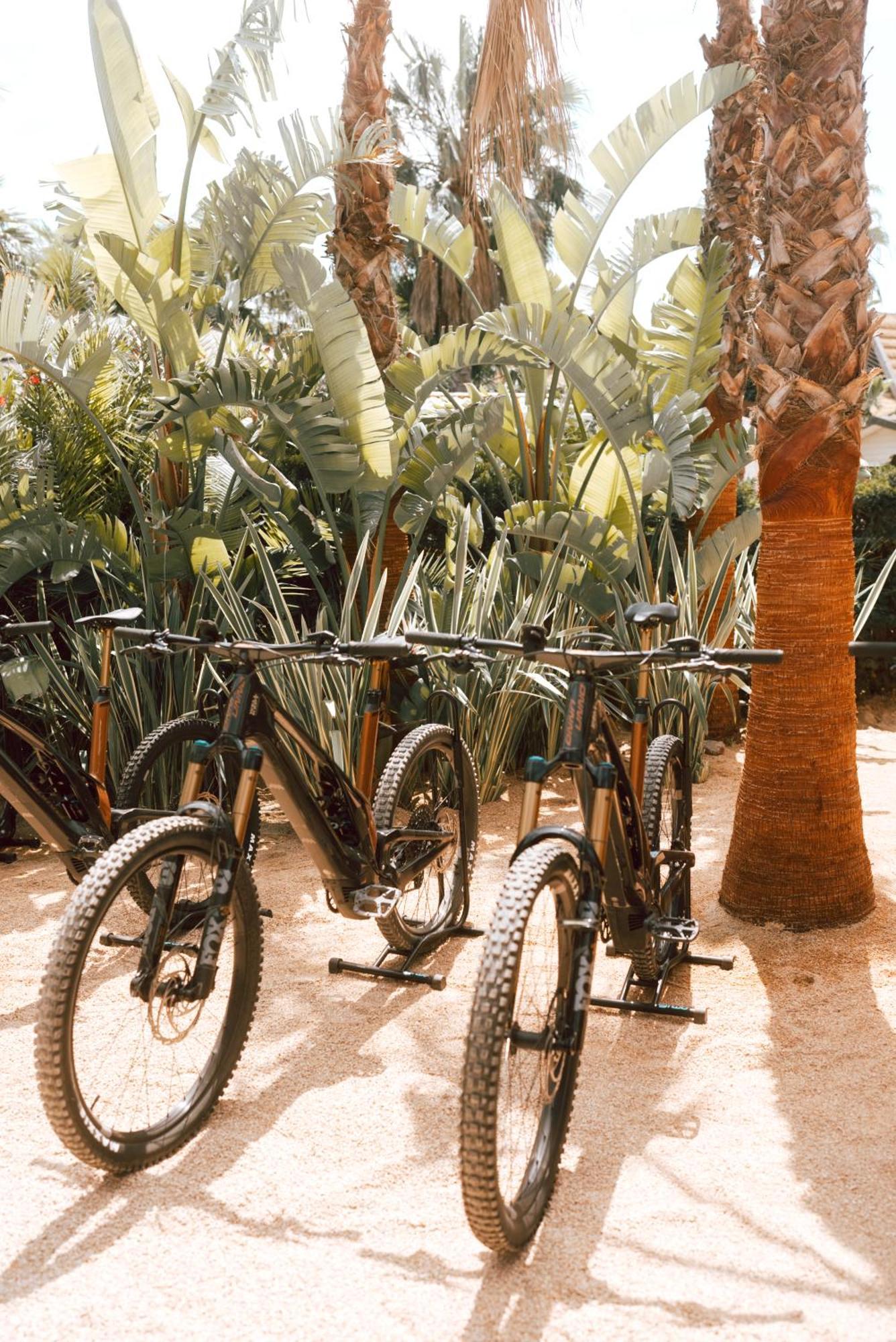 Hotel Toison D'Or Ramatuelle Esterno foto Bicycles at the Desert Botanical Gardens