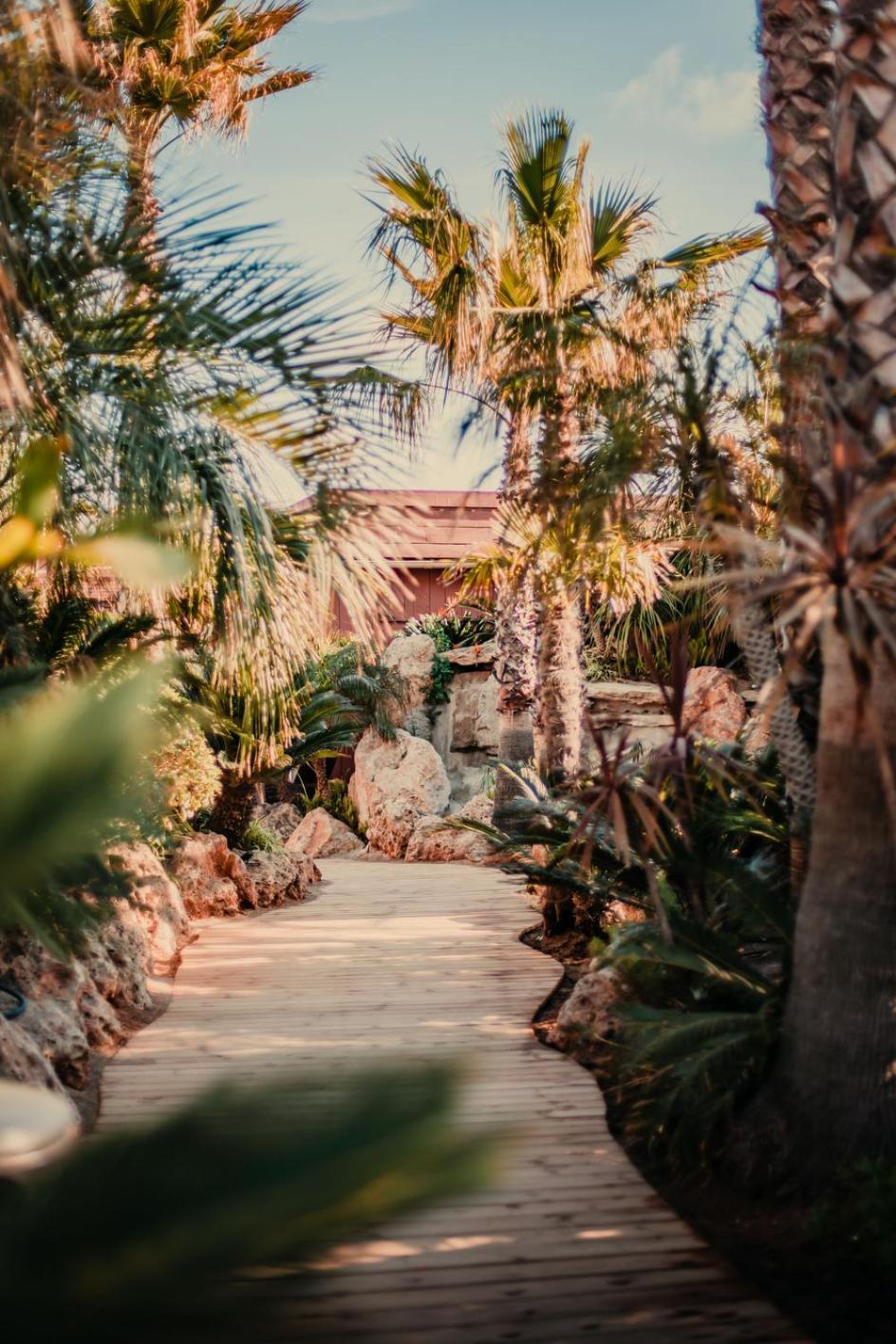 Hotel Toison D'Or Ramatuelle Esterno foto The Palm House